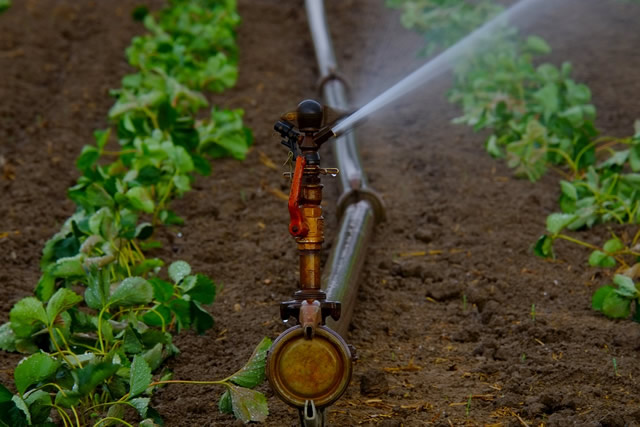 Irrigation Infrastructure for Rwanda Rural Sector Support Project