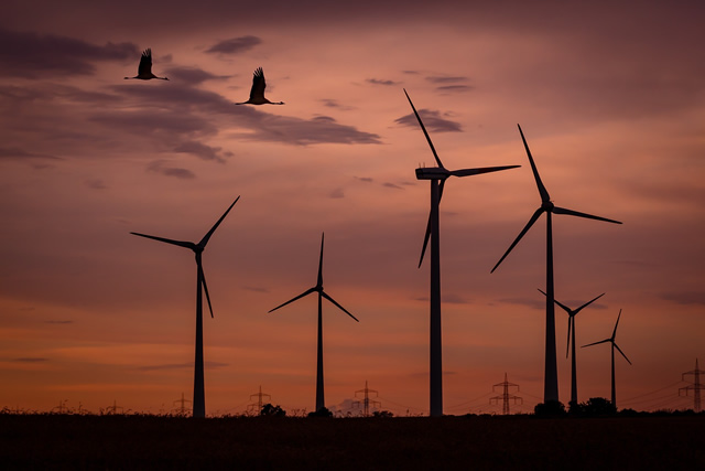  Environmental and Social Risk Assessment for Turkwell Wind Park in West Pokot Kenya 